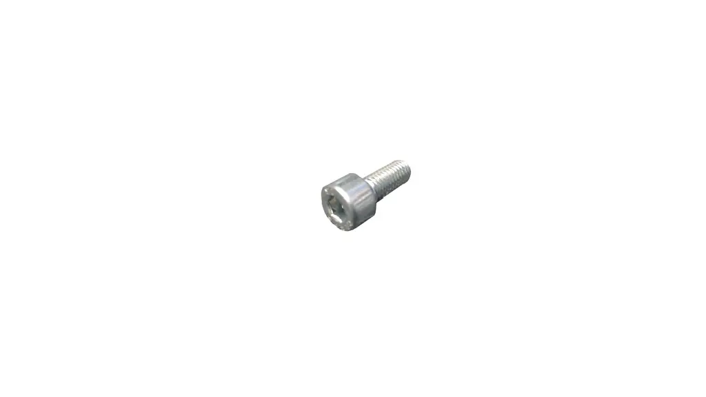 SCHR 4762 M8x20 ST-8.8 VZ 20.01.02.01502